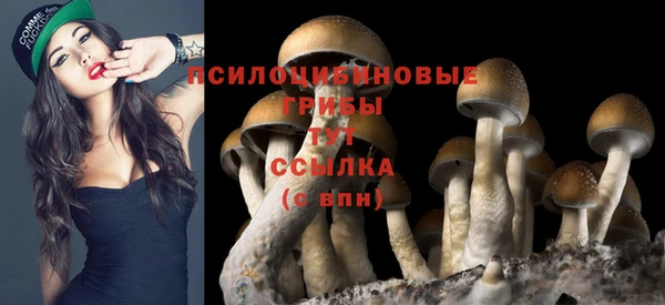 кокаин перу Нязепетровск