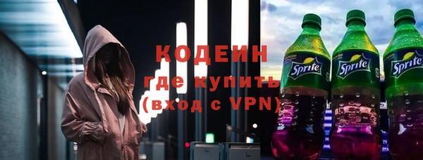 индика Новозыбков