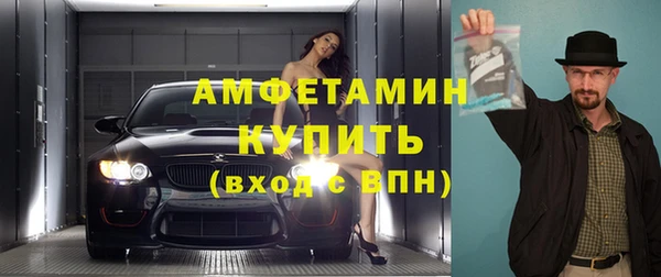 гашик Няндома