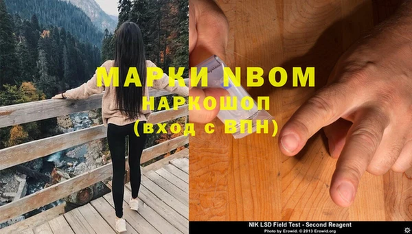 индика Новозыбков