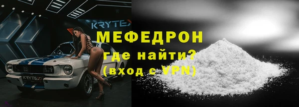 индика Новозыбков
