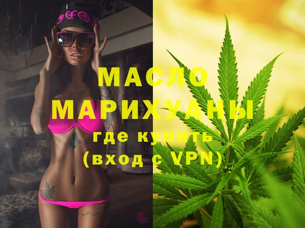 гашик Няндома