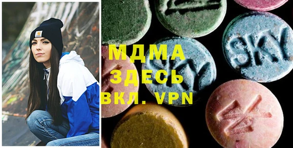 индика Новозыбков