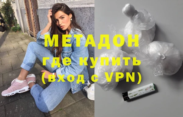 индика Новозыбков