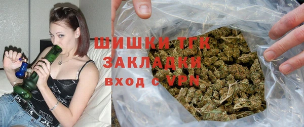 индика Новозыбков