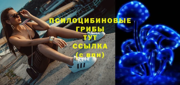 индика Новозыбков