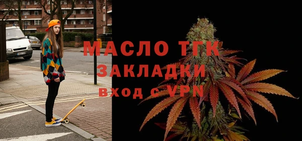 индика Новозыбков