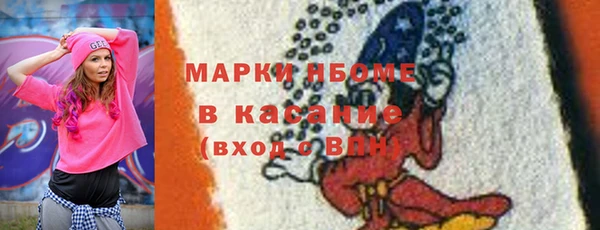 индика Новозыбков