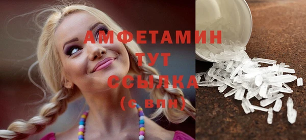 индика Новозыбков